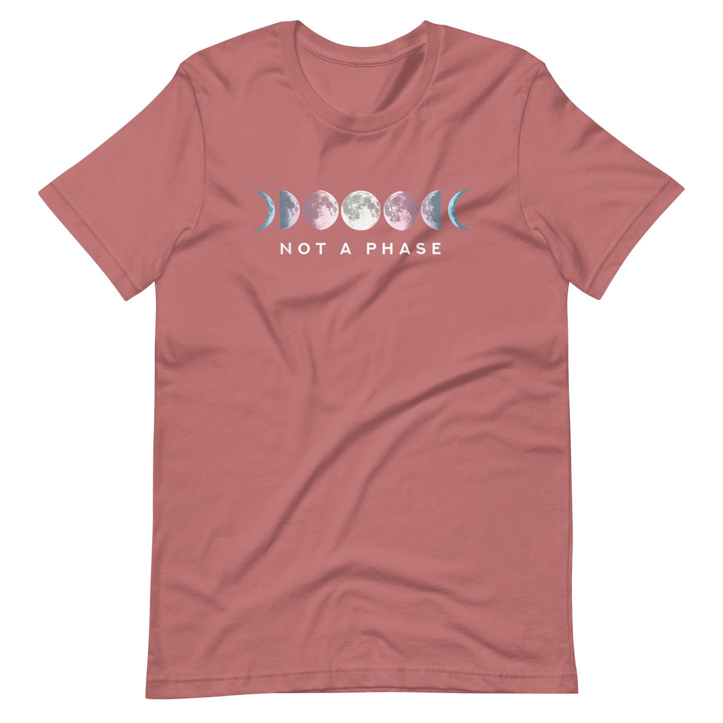 Not a Phase Transsexual Flag T-Shirt - gay pride apparel