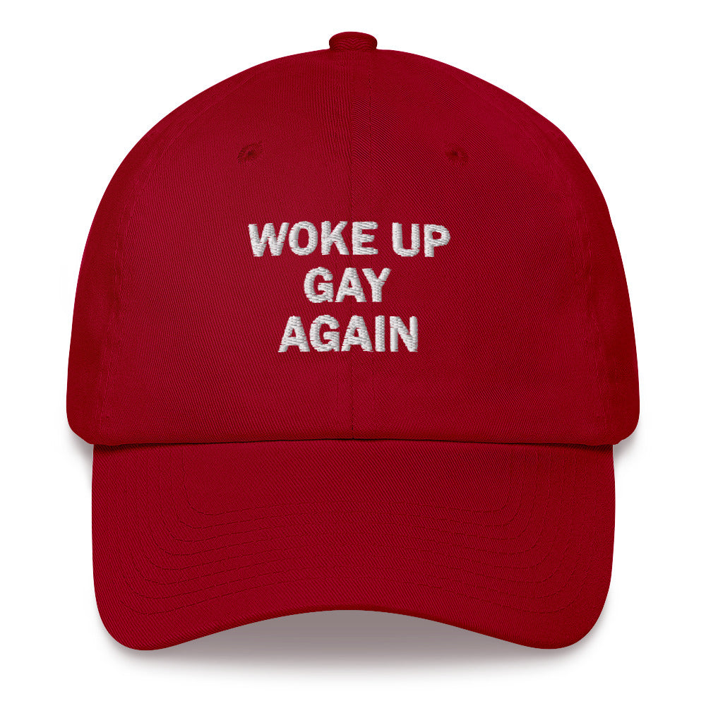 Woke Up Gay Again - Gay Pride Hat - gay pride apparel
