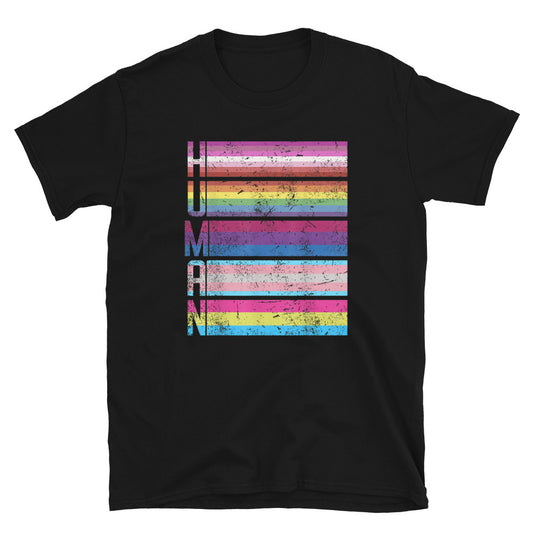 Human LGBTQ Flags Unisex T-Shirt - gay pride apparel