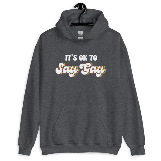 It's ok to Say Gay Pride Hoodie - gay pride apparel