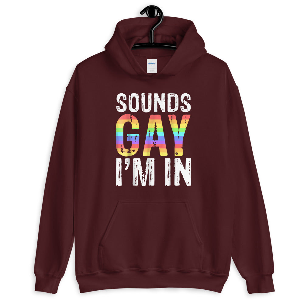 Sounds Gay I'M in Hoodie - gay pride apparel